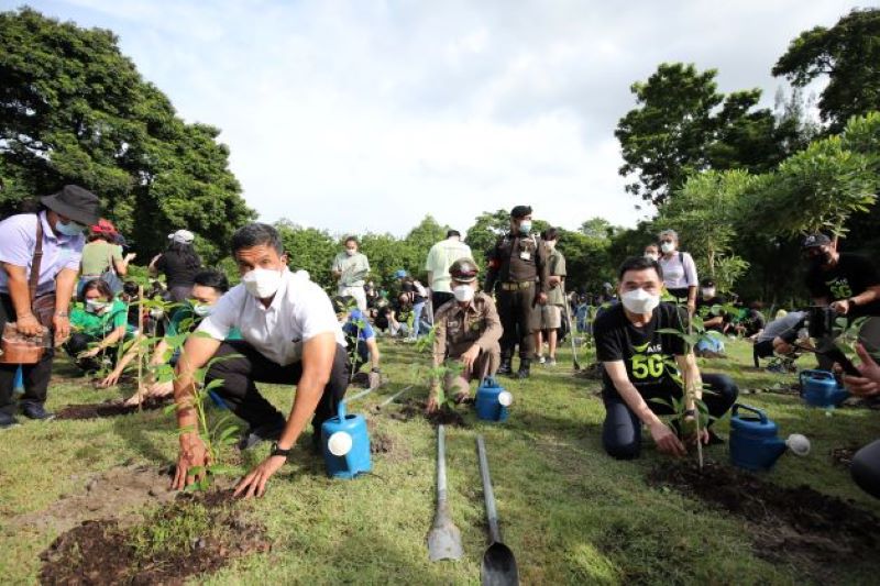 AIS Go Green ร่วมปลูกต้นไม้ 100,000 ต้น เพื่อกรุงเทพฯ ภายใต้แนวคิด Green Network